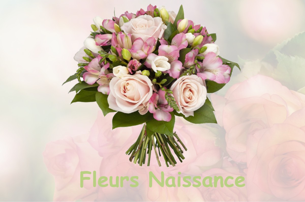 fleurs naissance BOUVESSE-QUIRIEU