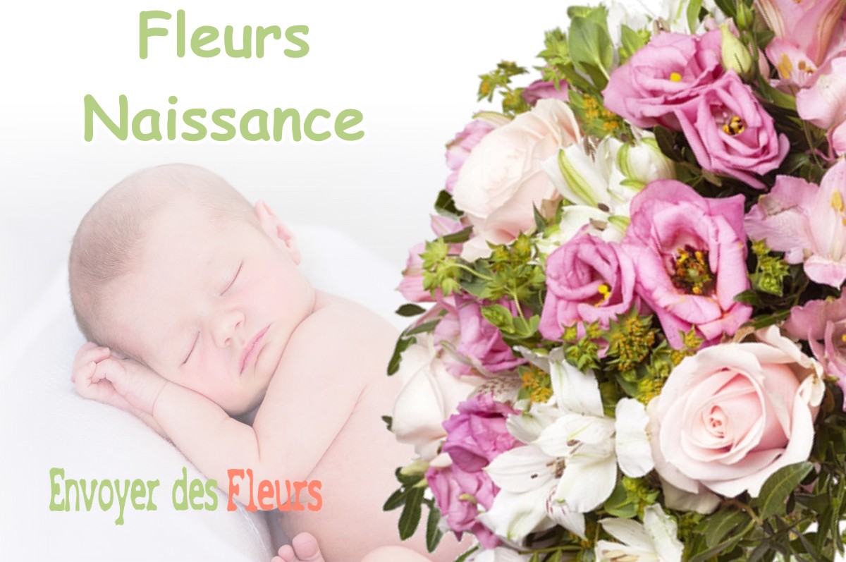 lIVRAISON FLEURS NAISSANCE à BOUVESSE-QUIRIEU